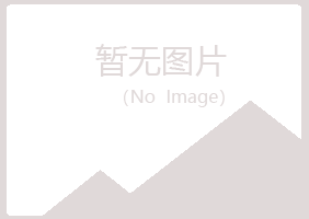 兴山区沙砾电讯有限公司